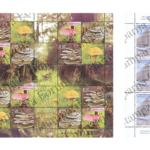 Magazine Cover Grid Mockup by Anthony Boyd Graphics